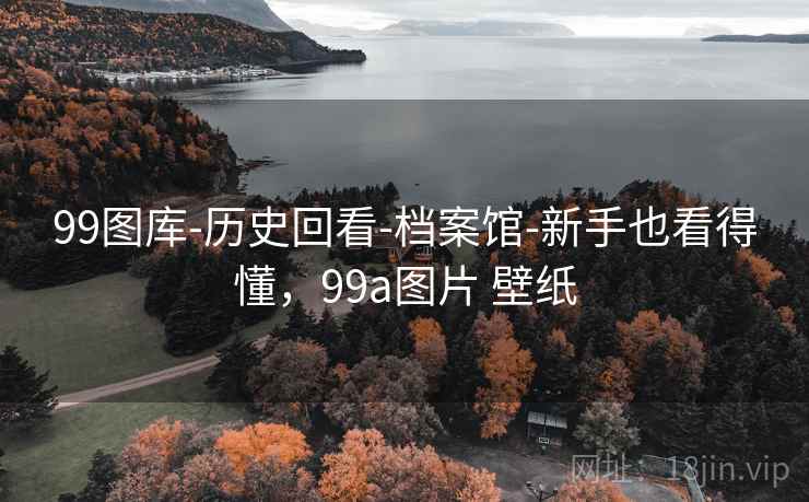 99图库-历史回看-档案馆-新手也看得懂，99a图片 壁纸